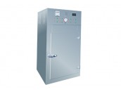 DMH Series Purifying Sterilizing Drying Oven